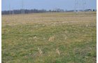 Property photo 25 - 98+/- Acres Offered in 6 Tracts or Combinations, Noble County, Indiana Farm